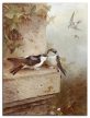 Tile trivet - birds -swallows 