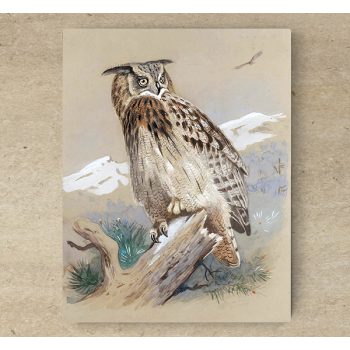 Ceramic tile trivet - birds -Eagle owl II. 