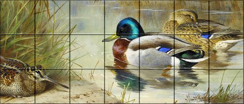 Tile mural - birds - Kingfisher, woodcock and mallards 