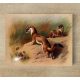 Tile mural - wildlife - hermelin II.