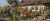 cottage garden with flowers and chickens – kitchen tiles