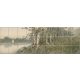 Ceramic tile mural with river, birch trees, wildflowers, and a sailboat
