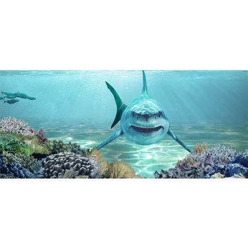 Shark mug