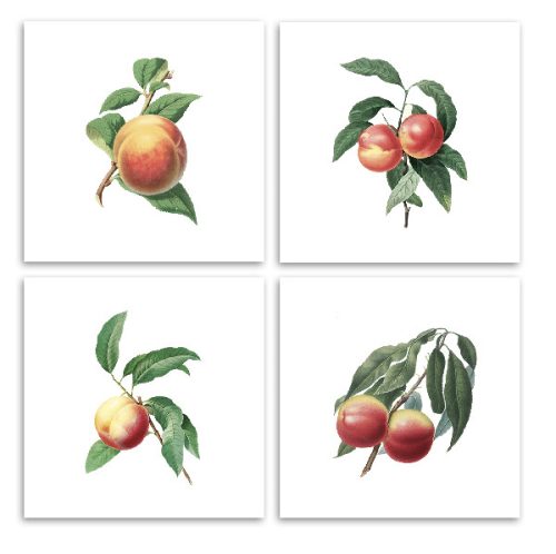 Ceramic tile mural - fruits 