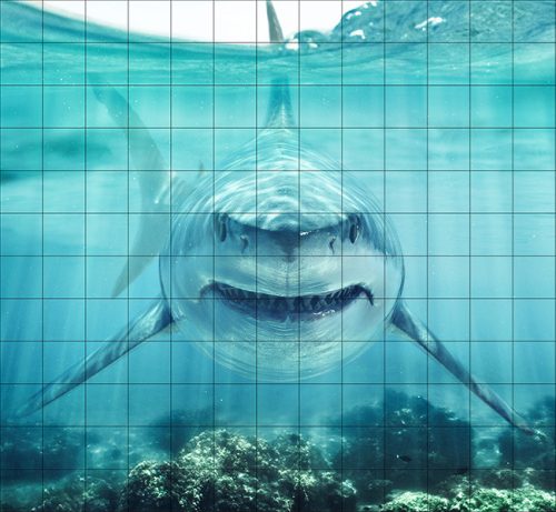 Tile mural - water world - Great White shark