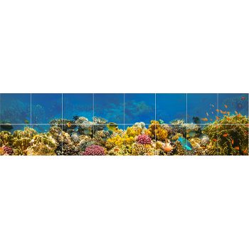 Colorful coral reef with tropical fish – ceramic tile mural with underwater theme Colorful coral reef with tropical fish – ceramic tile mural with underwater theme