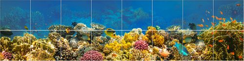 Colorful coral reef with tropical fish – ceramic tile mural with underwater theme
