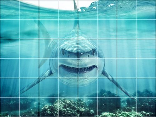 Tile mural - water world - Great White shark