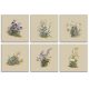 Ceramic tile mural set - wild flowers 