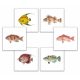 Tile mural - water world - fish set 