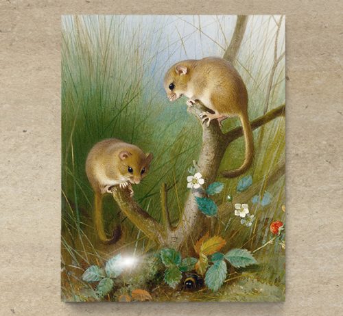 Tile mural - wildlife -mouse 