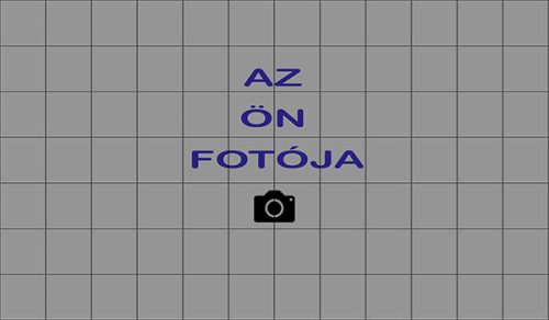  Custom photo tile mosaic (request for quotation)