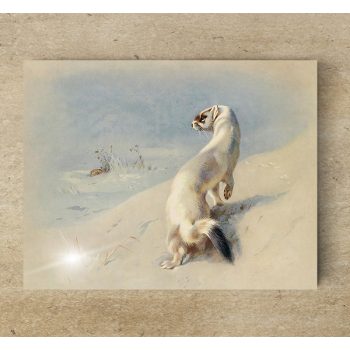 Tile trivet - wildlife - ermine