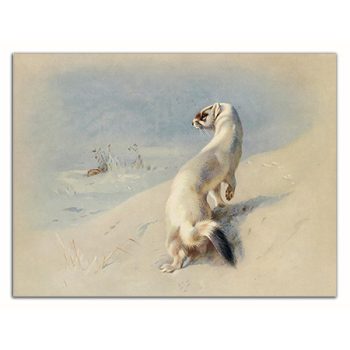 Tile trivet - wildlife - ermine