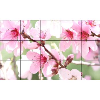 Ceramic tile mural - Sakura  Ceramic tile mural - Sakura