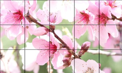 Sakura cseresznyevirág -  mozaik csempe 