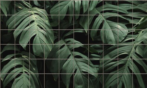 levélmintás zöld csempe trópusi levelekkel