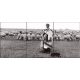 Ceramic tile mural - shepherd 