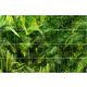 Dense green jungle with palm leaves and ferns – tropical tile mural