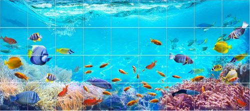 Ceramic Tile mural with colorfull fish