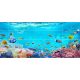 Tile mural - coral reef IV.