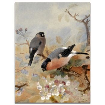 Ceramic tile trivet - birds -Bullfinch III. 