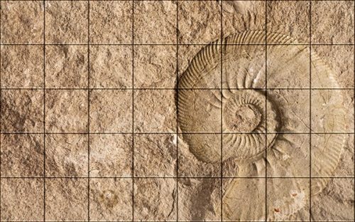 Fürdőszobai mozaik csempe őskövület mintával 120x75cm