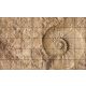 Ceramic tile mural - ammonites fossil