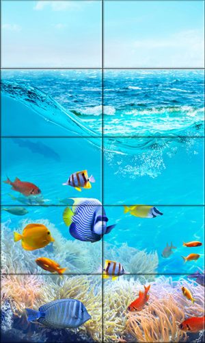 Fürdőszoba csempe színes halakkal