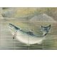 Tile mural - fishes -fishing II. 