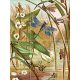 Ceramic tile mural - insects - Dragonflies 