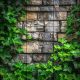 Ceramic tile mural - Ivy on stone wall