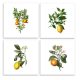 Ceramic tile mural - fruits 