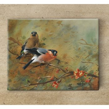 Ceramic tile trivet - birds -Bullfinch 