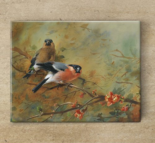 Ceramic tile mural - birds -Bullfinch 