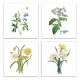 Set of tiles - flowers 
