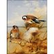 Ceramic tile mural - birds -axis 