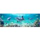 Delfines csempe