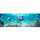 Tile mural - water world - dolphins 