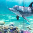 Bathroom tile mural with dolphins, tropical fish, and coral reef