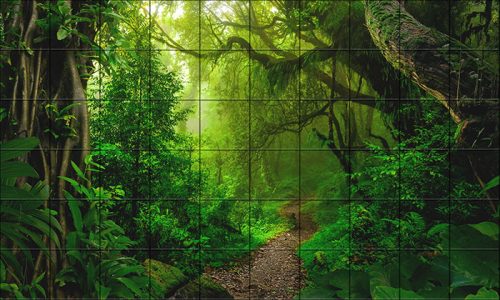 Tropical jungle with lush greenery and forest path – ceramic tile mural