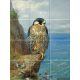 Ceramic tile mural - birds -Falcon Falcon 
