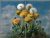 Ceramic tile mural - Butterfly and dandelion 