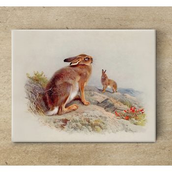 Tile mural - wildlife -rabbit III. 