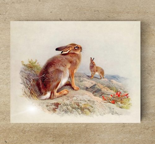 Tile mural - wildlife -rabbit III. 