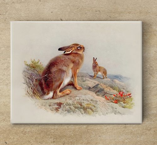 Tile mural - wildlife -rabbit III. 