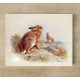 Tile mural - wildlife -rabbit III. 