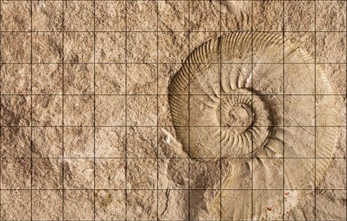 Ceramic tile mural - ammonites fossil