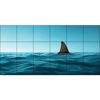 Tile mural - water world - Great White shark Tile mural - water world - Great White shark