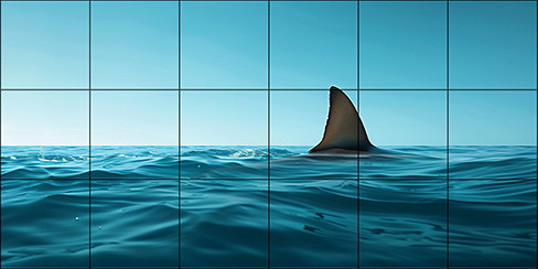 Tile mural - water world - Great White shark